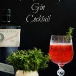 Fresh Raspberry and Thyme Gin Cocktail