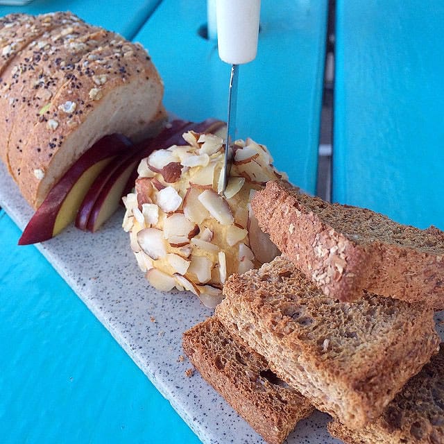 Vegan Austin Part 2 Vida Vegan Con 2015