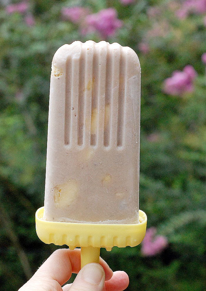 close up shot of a vegan banana pudding popsicle held by the left hand against a blurred background of greens and pink flowers
