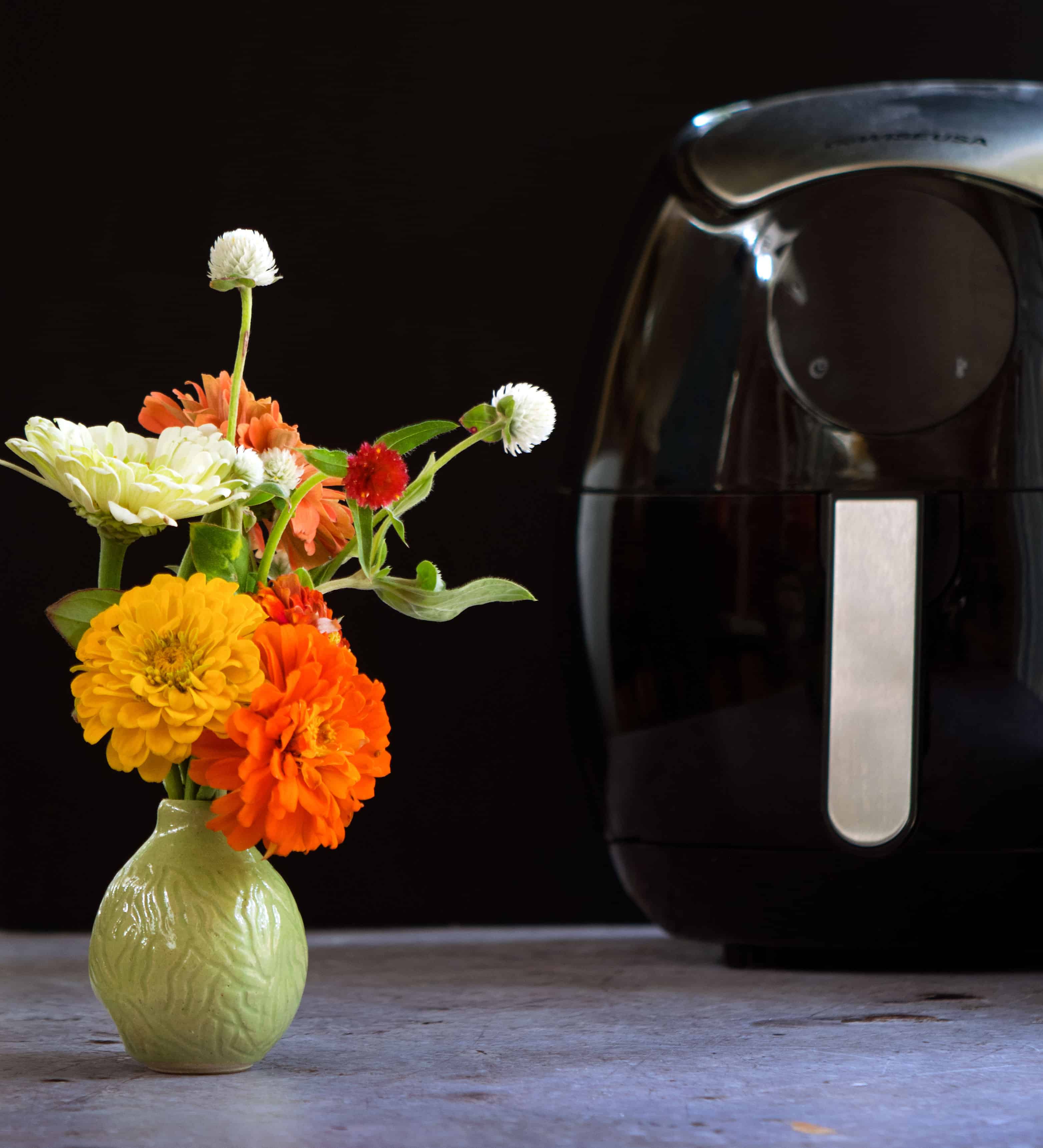 Go Wise Instant Pot