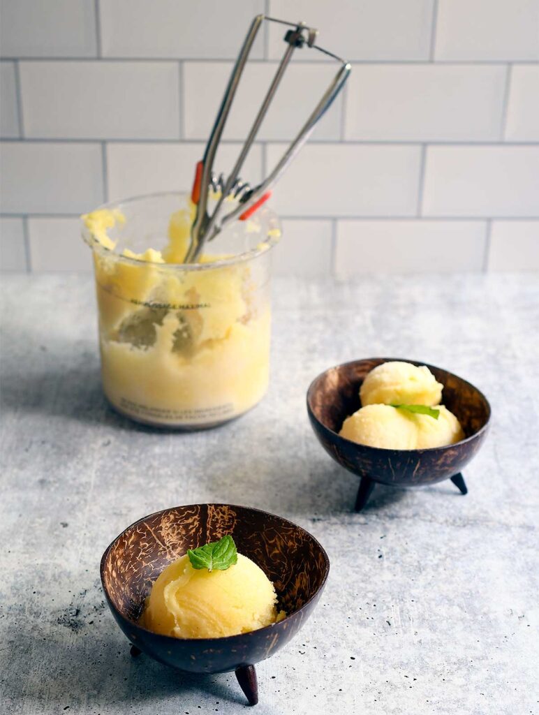 Vegan Ice Cream with the Ninja Creami Review & Step by Step